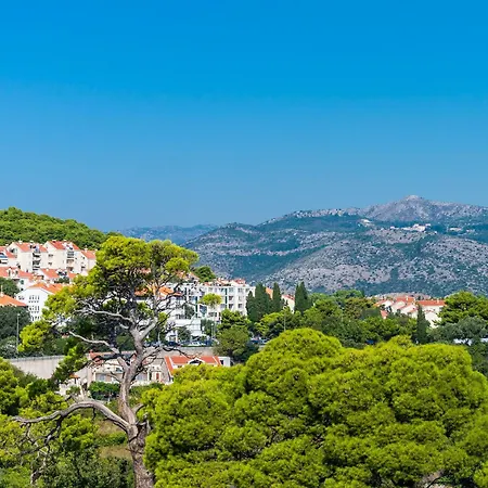 Апартаменты Luni *